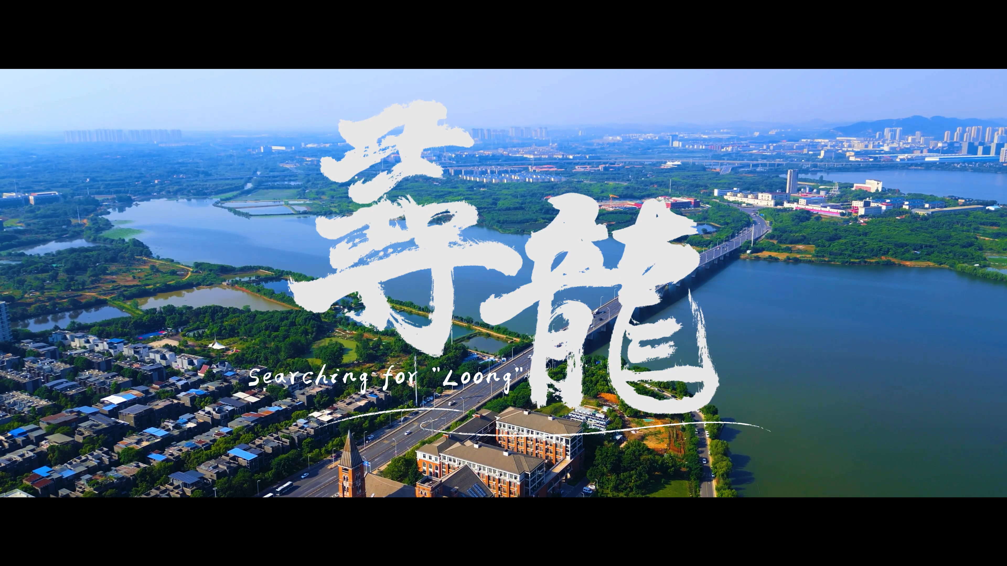寻龙 封面